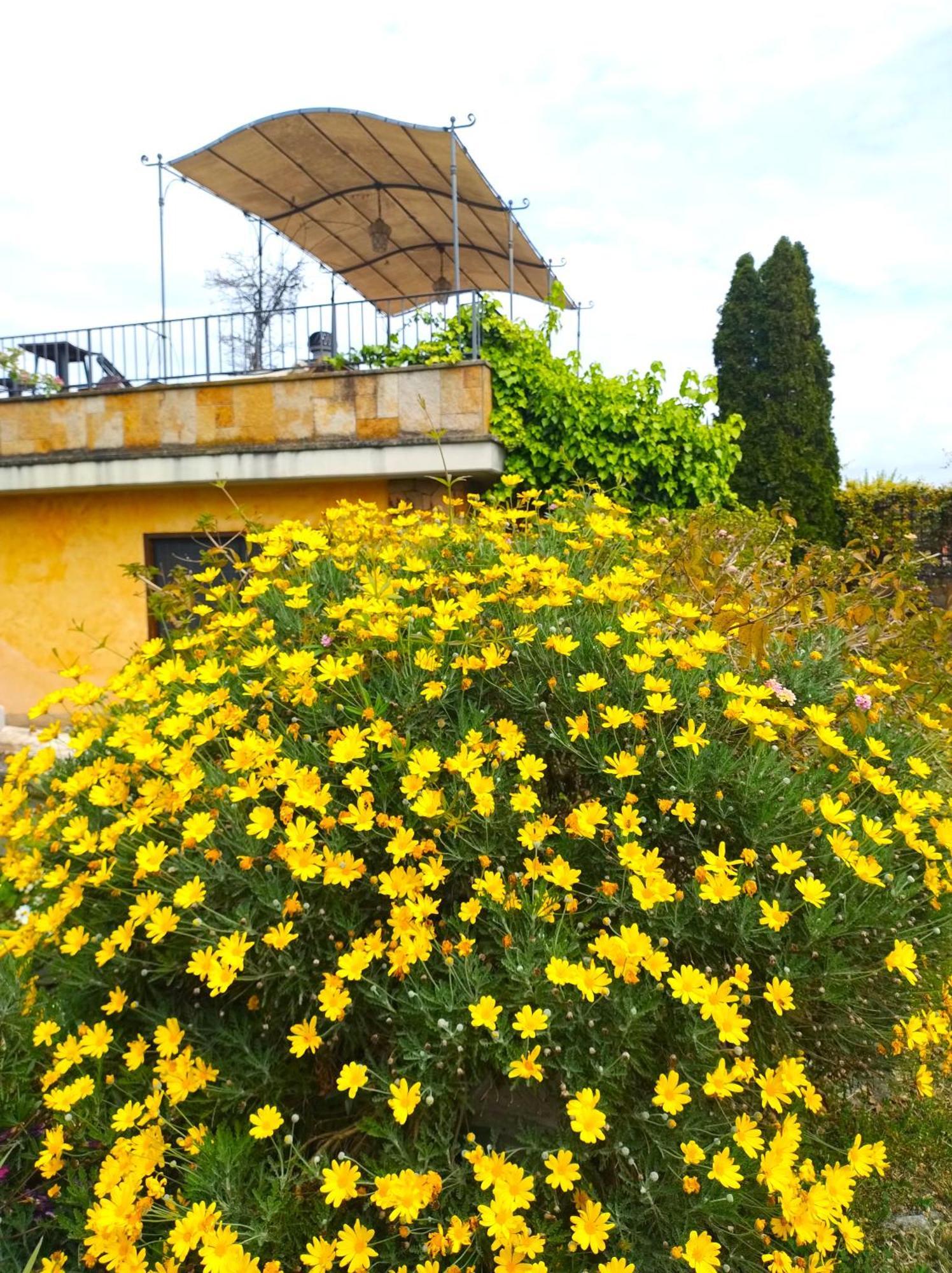 روما La Valle Dei Casali Com المظهر الخارجي الصورة